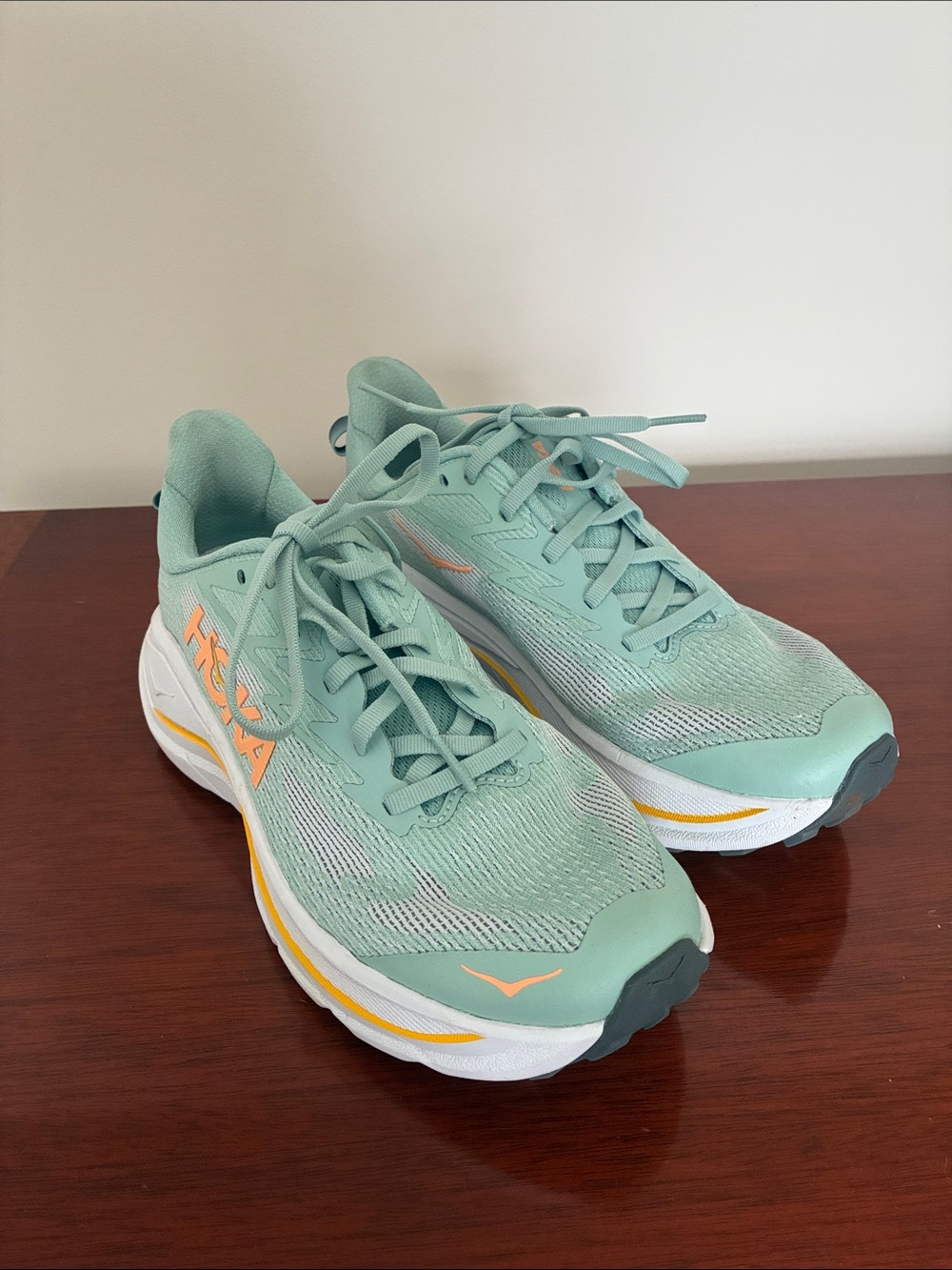 Hoka Women's Challenger 8 size 8